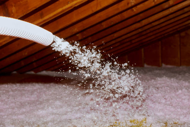 Types of Insulation We Offer in Lagrange, GA