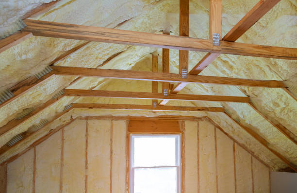 Best Spray Foam Insulation in Lagrange, GA
