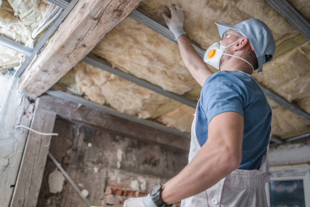 Best Insulation for Specific Applications in Lagrange, GA